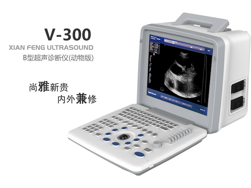 2020010934780249 B型动物超声诊断仪